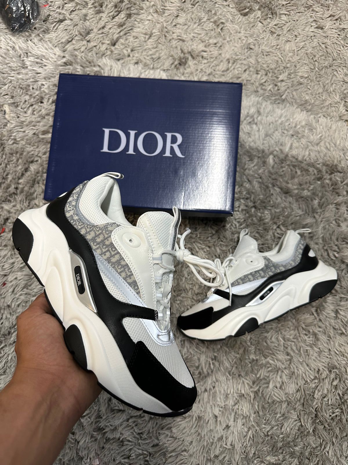 Dior b22